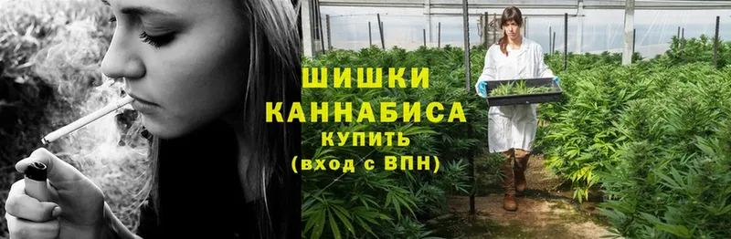 купить наркотик  Ивантеевка  Бошки Шишки SATIVA & INDICA 